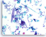 Click to enlarge Image 5