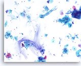 Click to enlarge Image 5