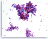 Click to enlarge Image 5