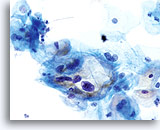 Click to enlarge Image 14