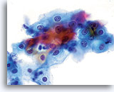 Click to enlarge Image 15