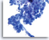 Click to enlarge Image 16