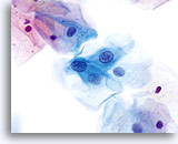 Click to enlarge Image 4