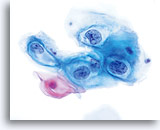 Click to enlarge Image 5