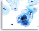 Click to enlarge Image 6