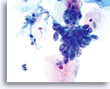 Click to enlarge Image 13