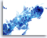 Click to enlarge Image 14