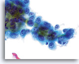 Click to enlarge Image 15