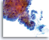 Click to enlarge Image 1