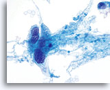 Click to enlarge Image 2