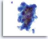 Click to enlarge Image 5