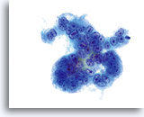 Click to enlarge Image 7