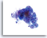 Click to enlarge Image 8