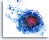 Click to enlarge Image 3