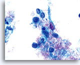 Click to enlarge Image 5