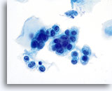 Click to enlarge Image 20