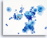 Click to enlarge Image 1