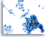 Click to enlarge Image 2