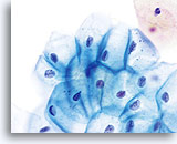 Click to enlarge Image 6