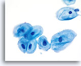 Click to enlarge Image 7