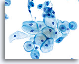 Click to enlarge Image 8