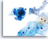 Click to enlarge Image 36