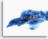 Click to enlarge Image 37