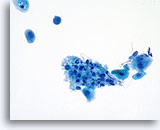 Click to enlarge Image 38