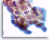 Click to enlarge Image 41