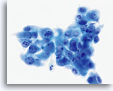 Click to enlarge Image 42