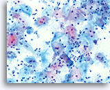 Click to enlarge Image 25