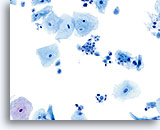 Click to enlarge Image 26