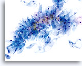 Click to enlarge Image 30