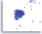 Click to enlarge Image 33