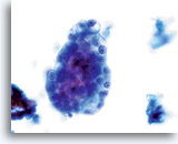 Click to enlarge Image 2