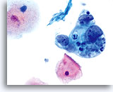 Click to enlarge Image 3