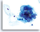 Click to enlarge Image 4