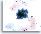 Click to enlarge Image 6