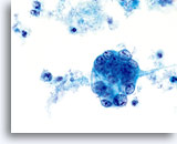 Click to enlarge Image 7