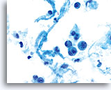 Click to enlarge Image 8