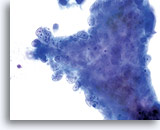 Click to enlarge Image 10