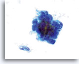 Click to enlarge Image 11