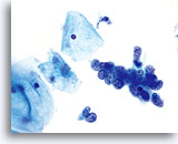 Click to enlarge Image 12