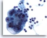 Click to enlarge Image 3