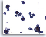 Click to enlarge Image 3