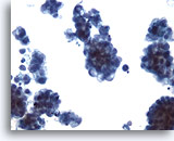 Click to enlarge Image 3