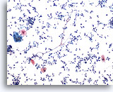 Click to enlarge Image 3