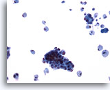 Click to enlarge Image 3