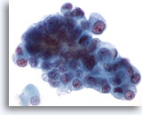 Click to enlarge Image 2