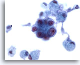 Click to enlarge Image 3